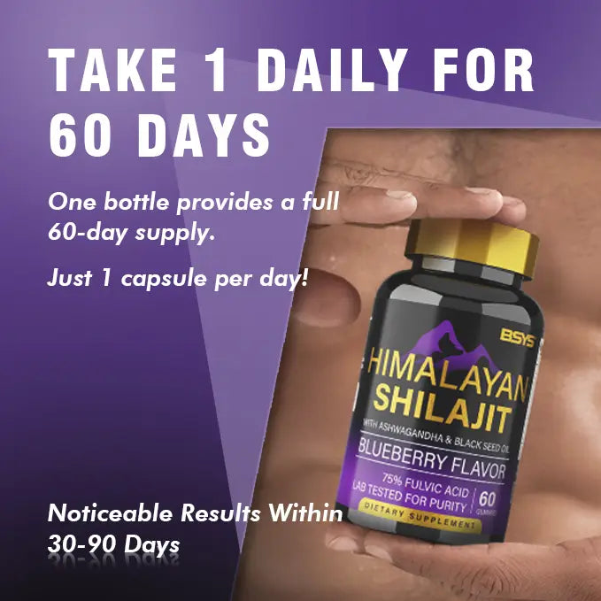 BSYS SHILAJIT GUMMIES 60’S