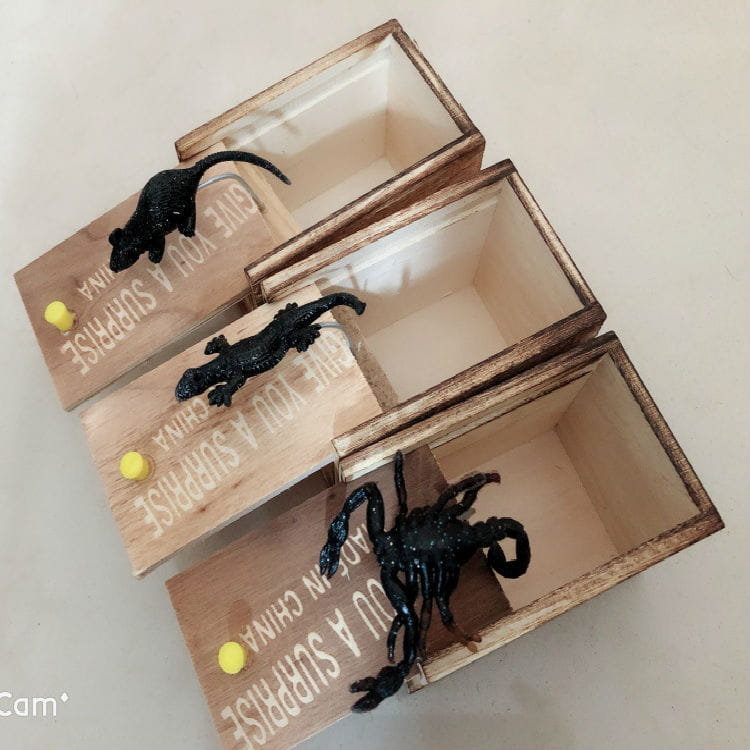 Prank Spider Wooden Scare Box Trick Play Joke Lifelike Surprise April Fools’ Day Funny Novelty Toys Gags Practical Gifts