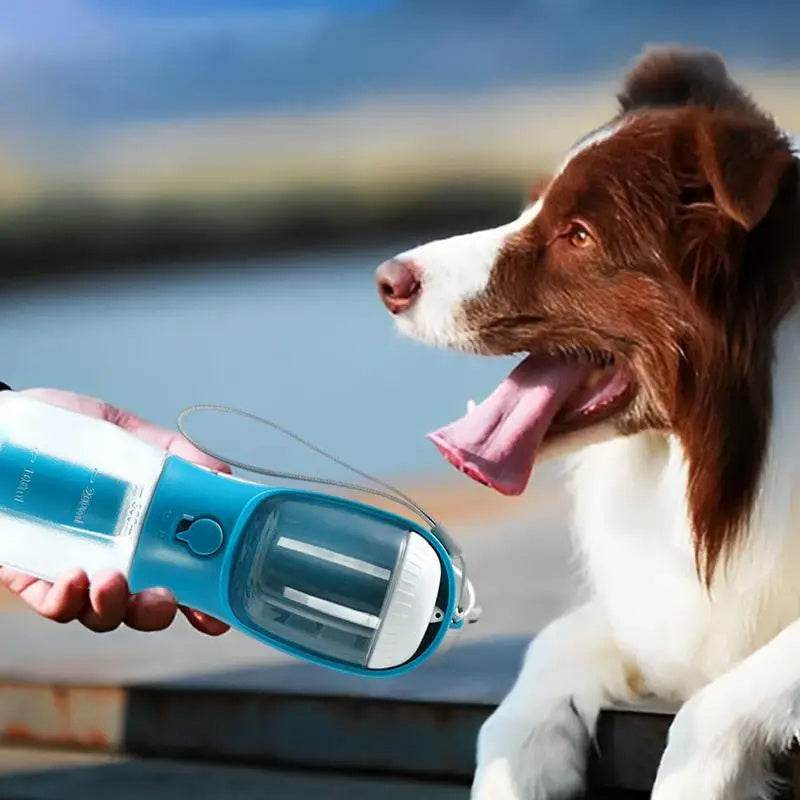 Dog Water Cup Drinking Food Garbage Bag Three-in-one Portable Small Multi-functional Pet Cups Pets Supplies - The Genie Store