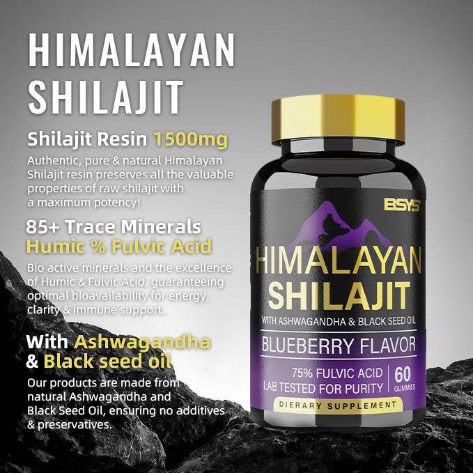 BSYS SHILAJIT GUMMIES 60’S 1bottle