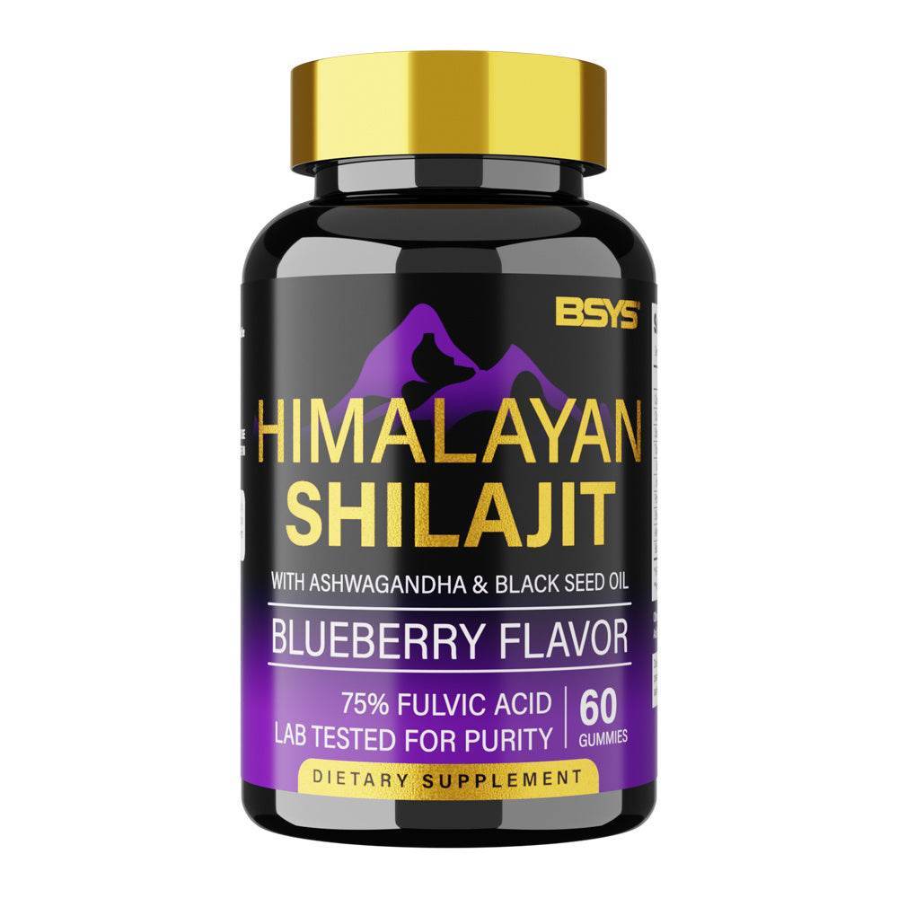 BSYS SHILAJIT GUMMIES 60’S 1bottle