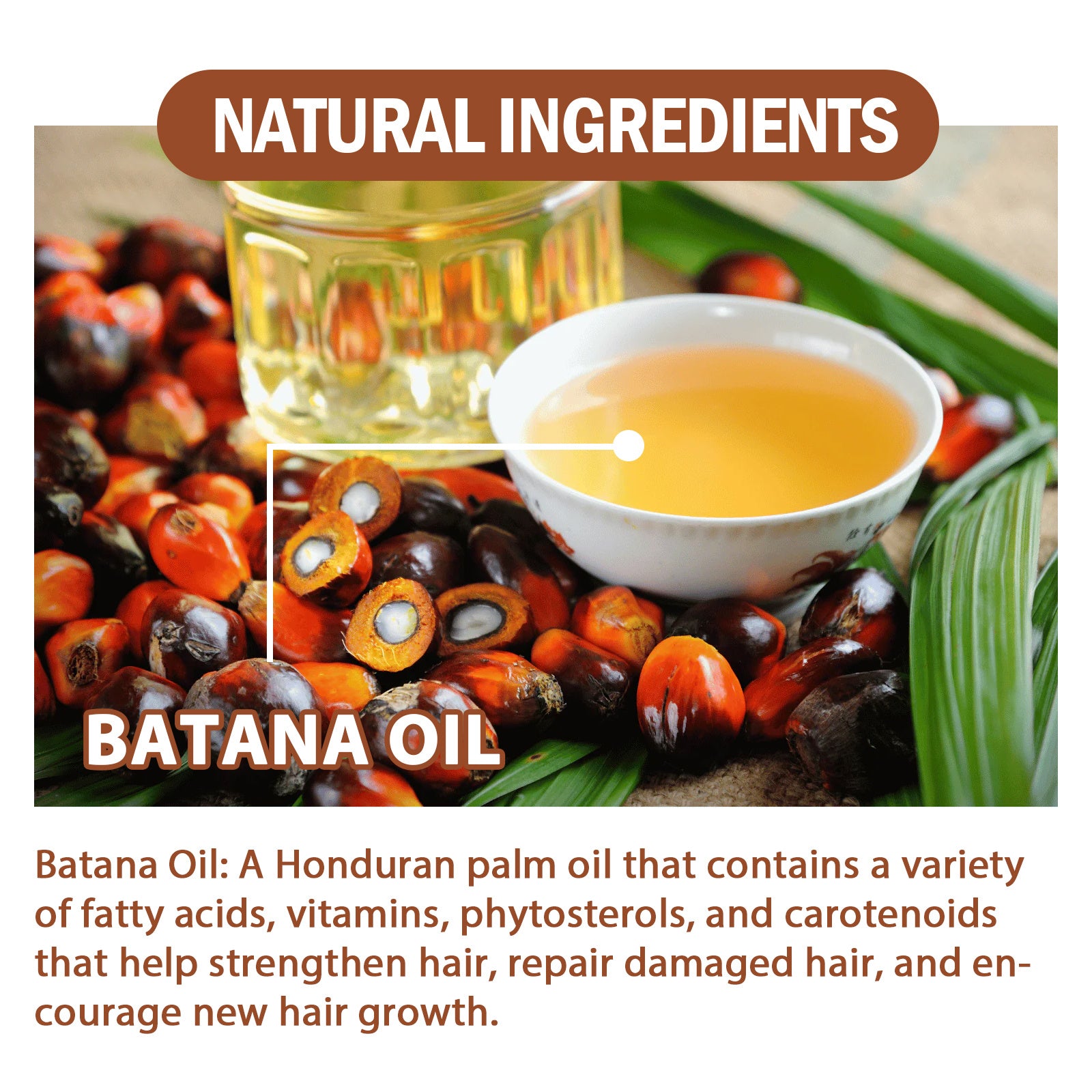 Natural Batana Oil From Honduras Unrefined For Men & Women 4.05 Fluid Ounces Coffee