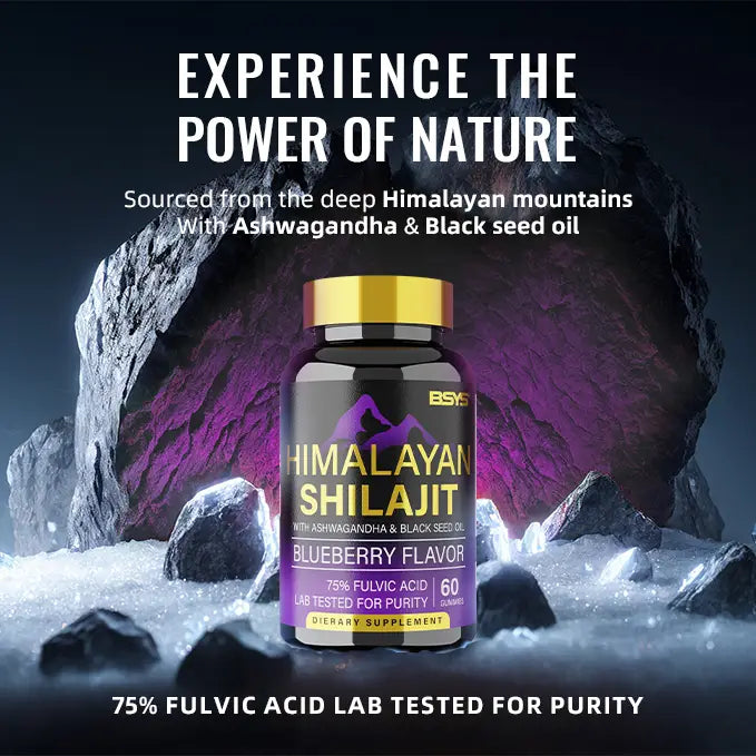BSYS SHILAJIT GUMMIES 60’S