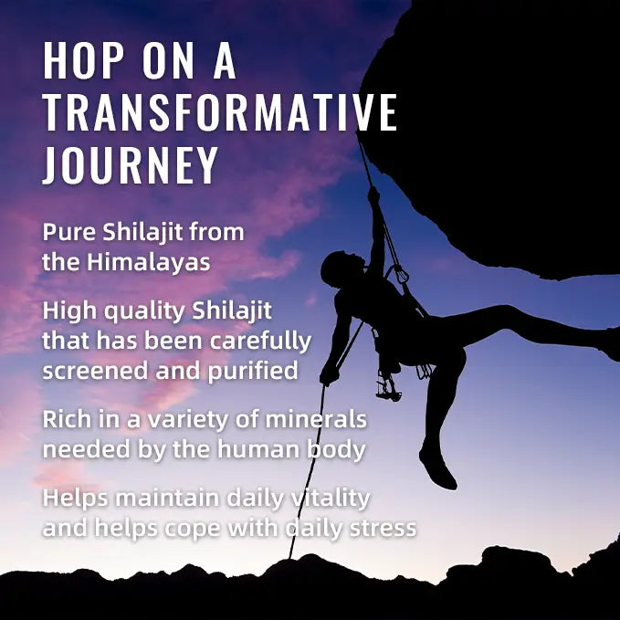 BSYS SHILAJIT GUMMIES 60’S