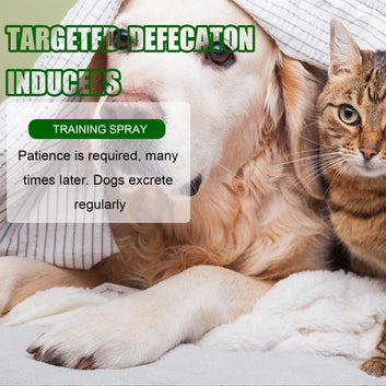 Yegbong Pet Positioning Toilet Inducer Pet Toilet Positioning Toilet Trainer