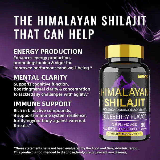 BSYS SHILAJIT GUMMIES 60’S